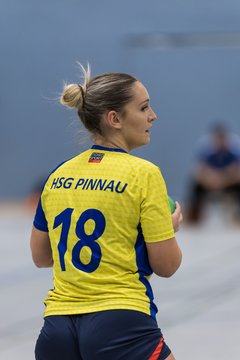 Bild 89 - F HSG Pinnau2 - Rellinger TV2 : Ergebnis: 27:20